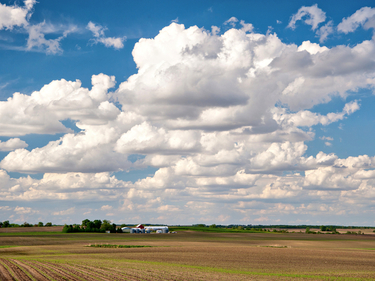 Open Field in the City of Goose Lake used for agriculture